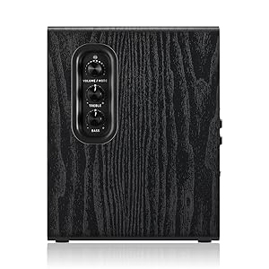 Amazon.com: Sanyun SW206 4” HiFi Bookshelf Speakers with Studio