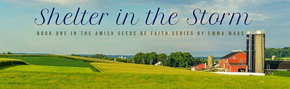 FAB Shelter from the Storm RF 英語版 拡張アート FAB Shelter from