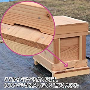 Amazon.co.jp: 巣箱：石田式 ニホンミツバチ捕獲箱【本格派向け