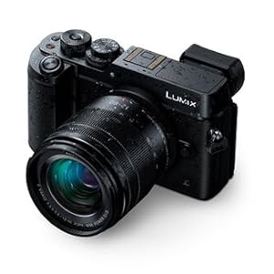 Amazon.com : PANASONIC LUMIX G VARIO LENS, 12-60MM, F3.5-5.6 ASPH
