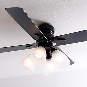 Amazon.co.jp : LOWYA ロウヤ 照明 シーリングファンライト シーリング