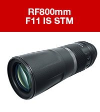 Amazon.com : Canon RF800/11 is STM(N) : Electronics
