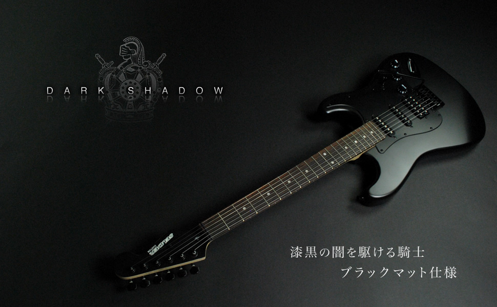 Amazon | SELDER セルダー エレキギター ストラトキャスタータイプ