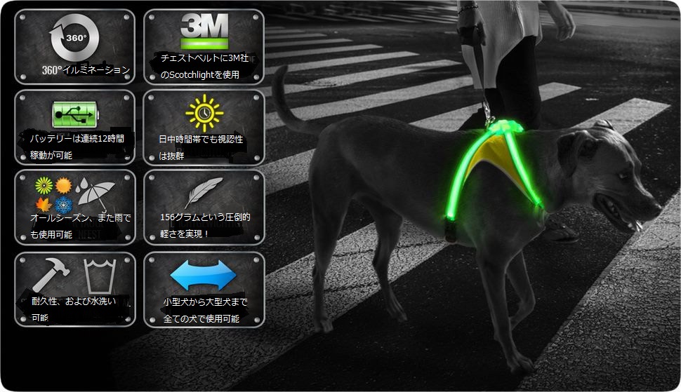 Amazon | LightHound ライトハウンド 光るハーネス 犬 散歩 夜 ライト