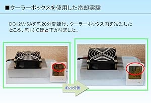 Amazon.co.jp: 【SANCTUS】 ペルチェ式 ペルチエ式 DC12V 冷却ユニット
