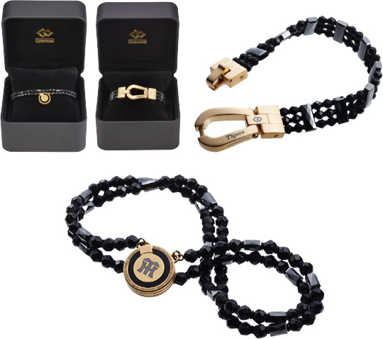 プレミアムプラス｜2026年度会員募集｜ファンクラブ｜阪神タイガース