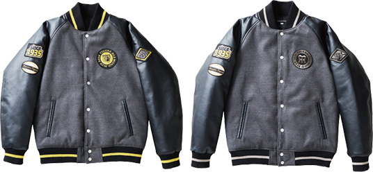 プレミアムプラス｜2026年度会員募集｜ファンクラブ｜阪神タイガース