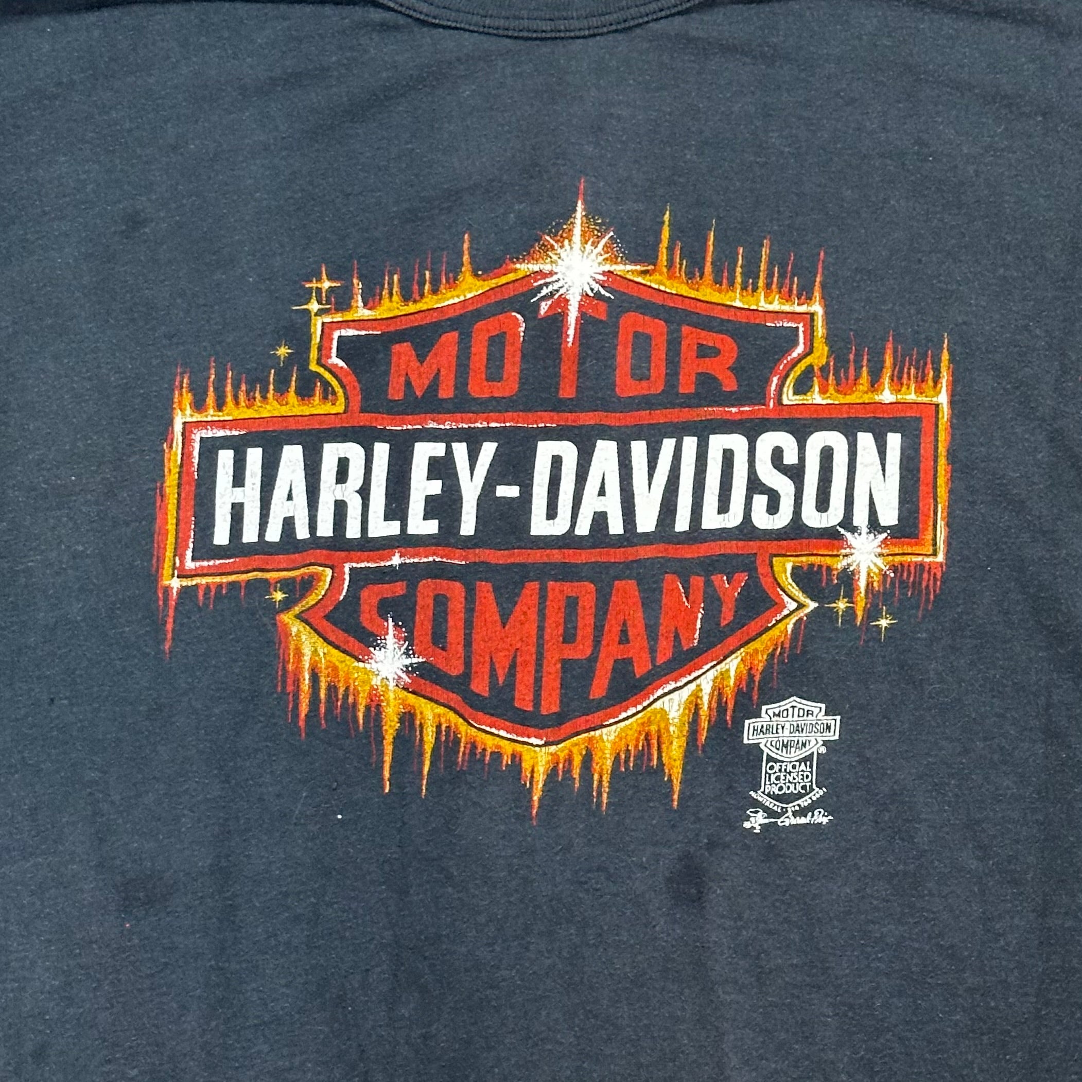Vintage 1980s Harley Davidson Single Stitch T-Shirt • Sanguinet