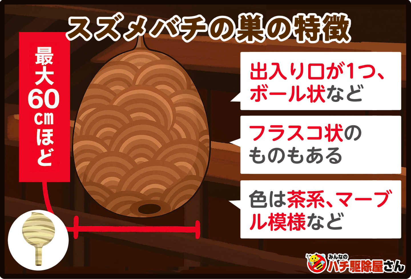 プロ直伝】蜂の巣の種類がひと目でわかる！見分け方、駆除・予防のコツ