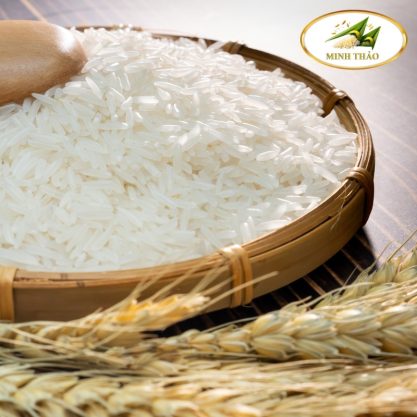 GẠO ST25 - MinhthaoFood