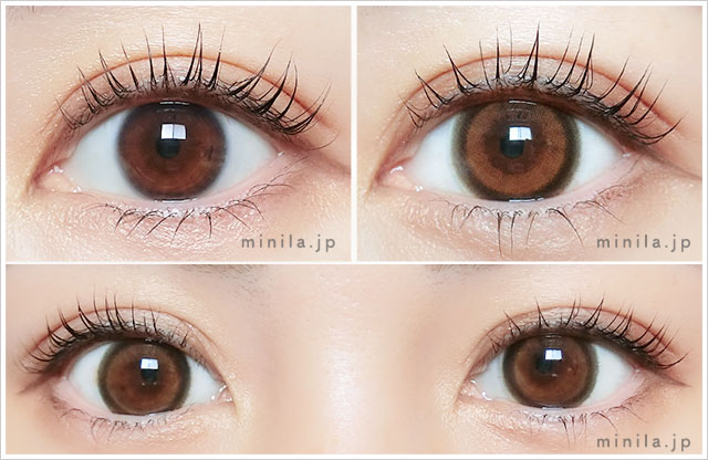 レポ】キャンディーマジックワンデー ミミブラウン。太フチだけど