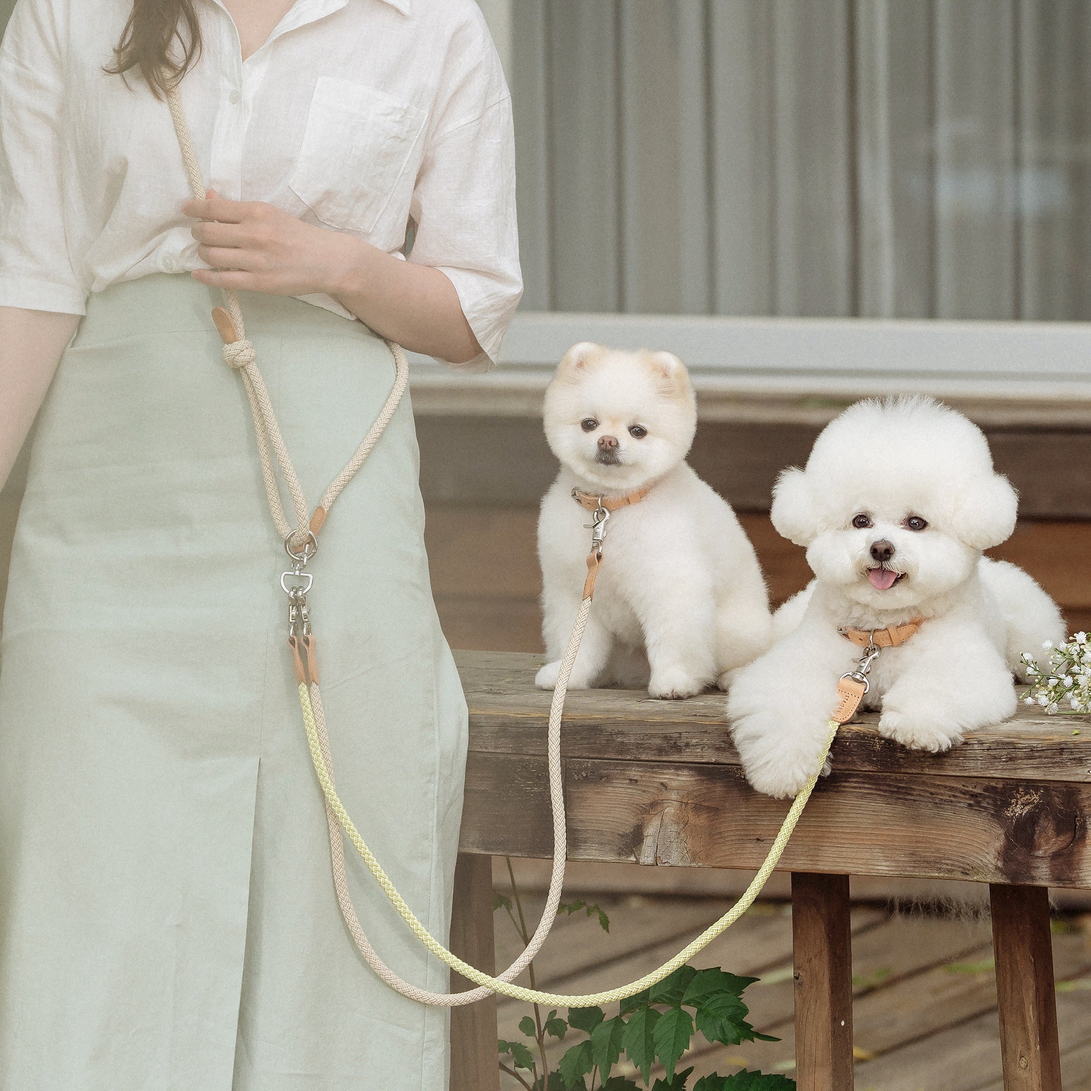 Multi Leash - Sub（全8色） / 多頭飼いにオススメのショルダーリード