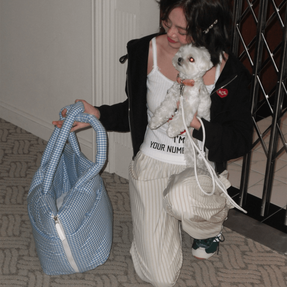 APERTY wide bag – plaid blue｜韓国発の犬用キャリーバッグ｜MINIME