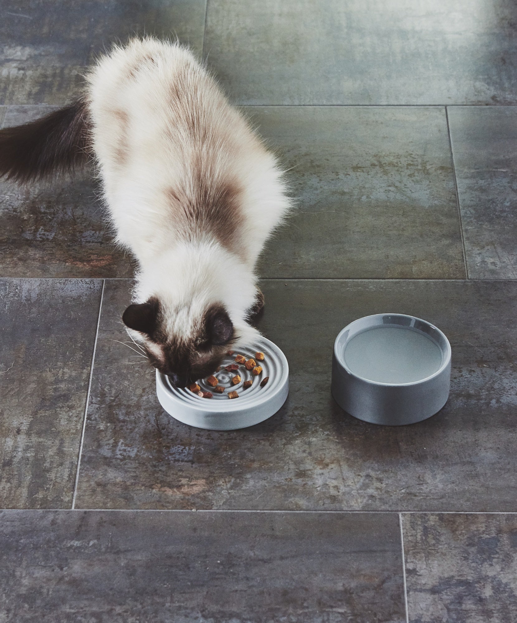 SALE☆MiaCara 猫用フードボウル・ウォーターボウル 【公式通販】