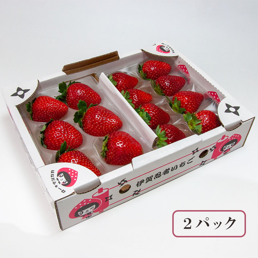 プレミアム苺 3Lサイズ＜モカベリー＞2パック | 三重県伊賀市 | 三越