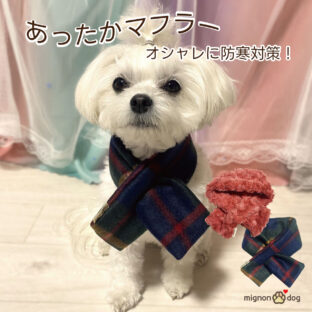 COSTUME – 【 mignon-dog ミニョンドッグ 】