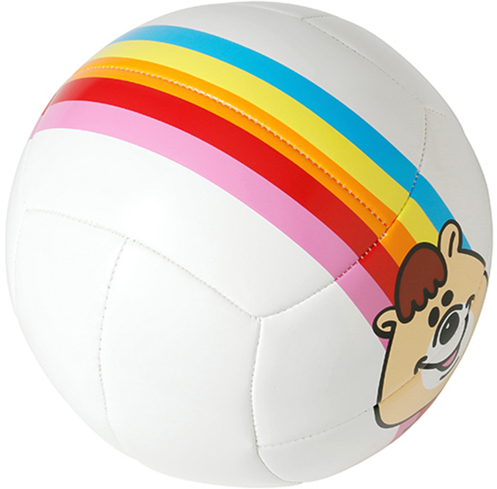 WCJKU-V4-RAINBOW | 株式会社ミカサ MIKASA｜ボール・スポーツ用品