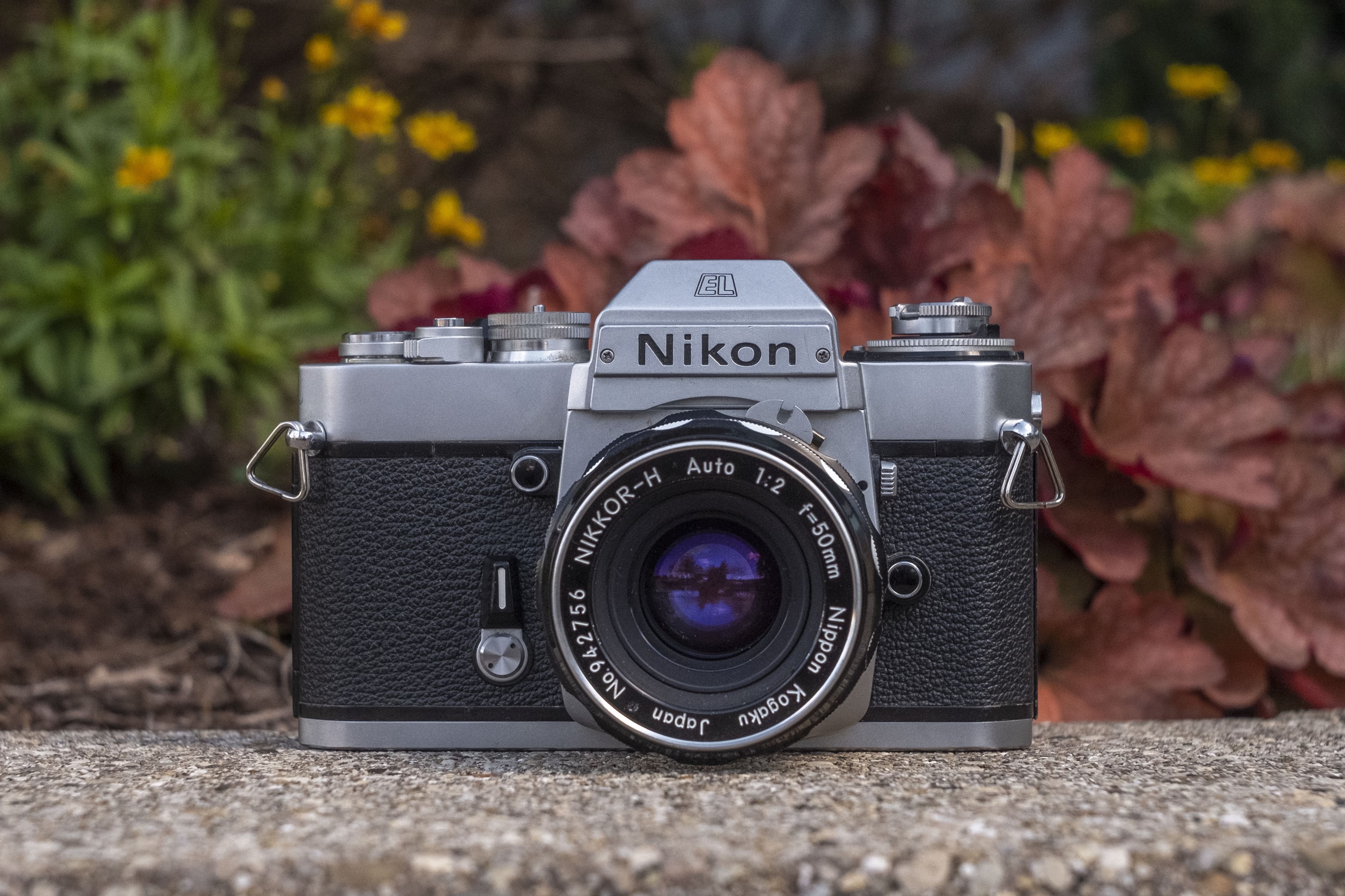 Nikon EL2 (1977) - mike eckman dot com