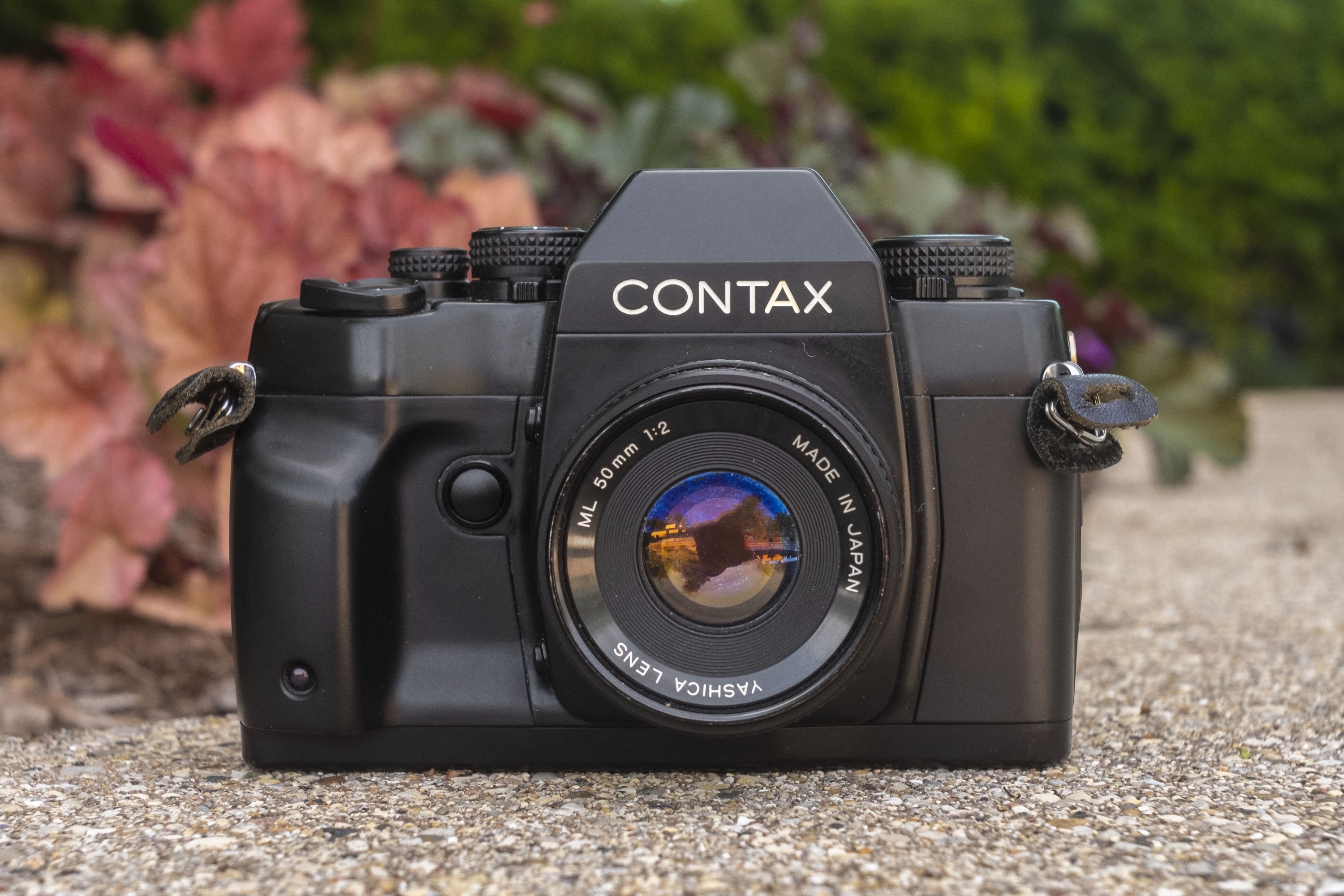 極美品” CONTAX RX 極美品” CONTAX RX CONTAX RX Review — Invernodreaming