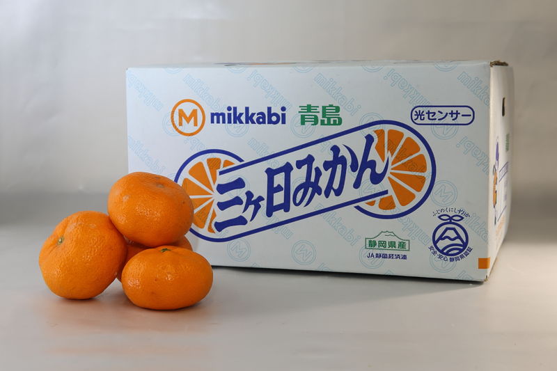 News&Topics｜【直売所情報】12/17 青島ミカンが入荷しましたー三ヶ日