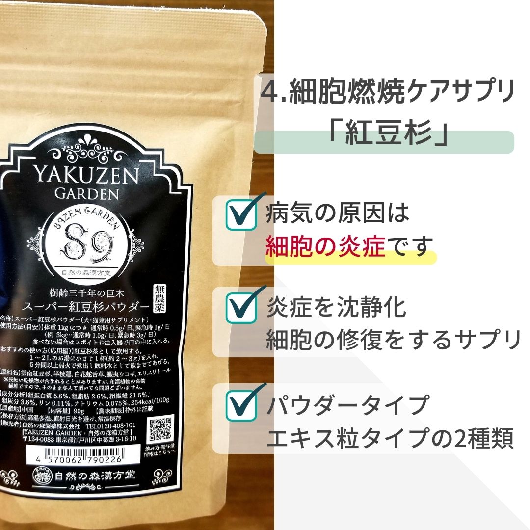 自然の森漢方堂 和漢 みらいのドッグフード ショップ スーパー紅豆杉
