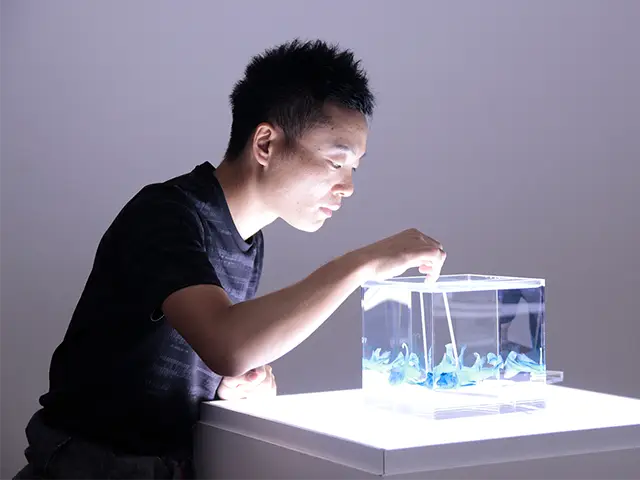 透明標本作製キット】 (上級) 20点 自由研究 学習教材 オリジナル商品