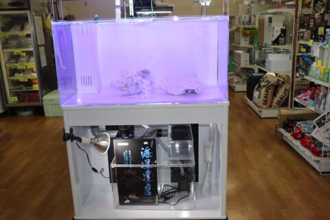 Ri 904545サイドアクリル ふふ904545サイドアクリル 楽天市場