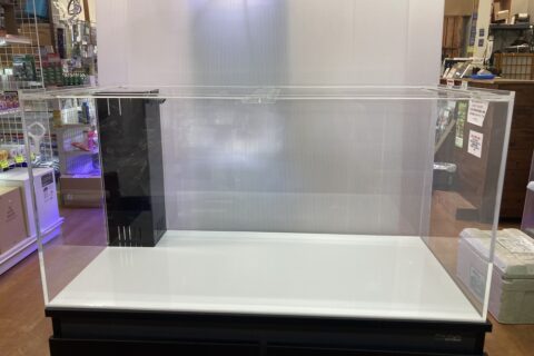 アクリル水槽 90cm｜アクリル水槽 - 熱帯魚のmishima