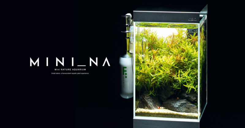 ☆ADA アマノ W600 D300 H450 ガラス水槽 ADA W600 D300 W600×D300