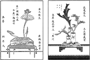 2024年10月 – 未生流