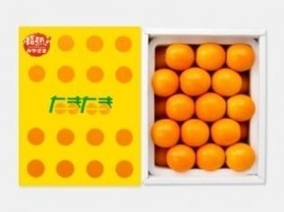 きんかん・くり｜宮崎県農業協同組合（JAみやざき）