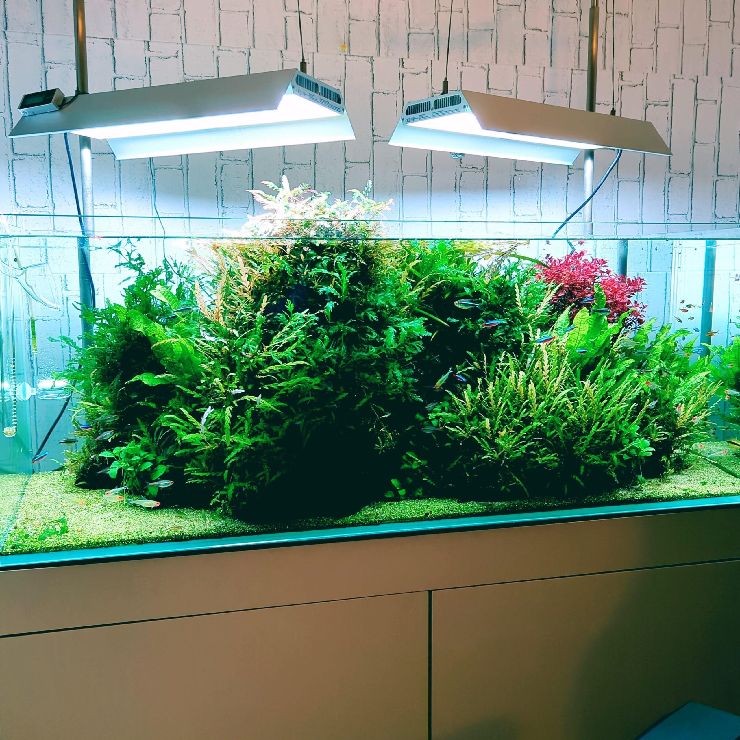 2[絶版]ADA雲山石3.5キロ☆穴3個 水槽 レイアウト アクアリウム 60