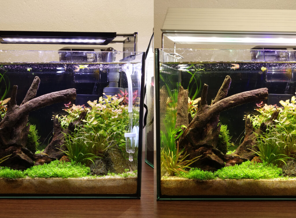 LED照明】GEX POWER X 2030は30cm未満の水槽におすすめ【水草水槽