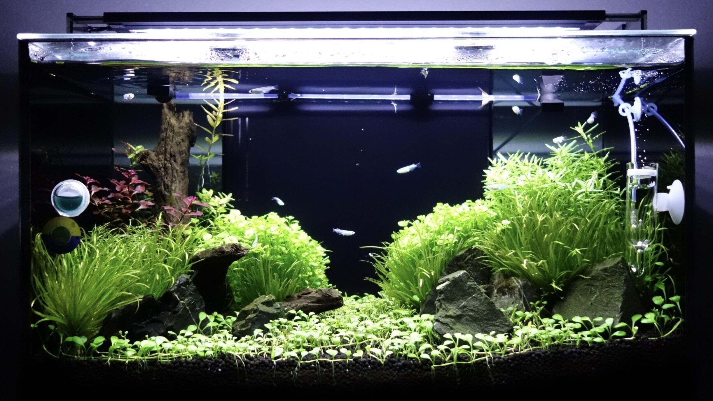 小型】GEX Glassterior AGS -OF450- は果たして水草水槽に向いている