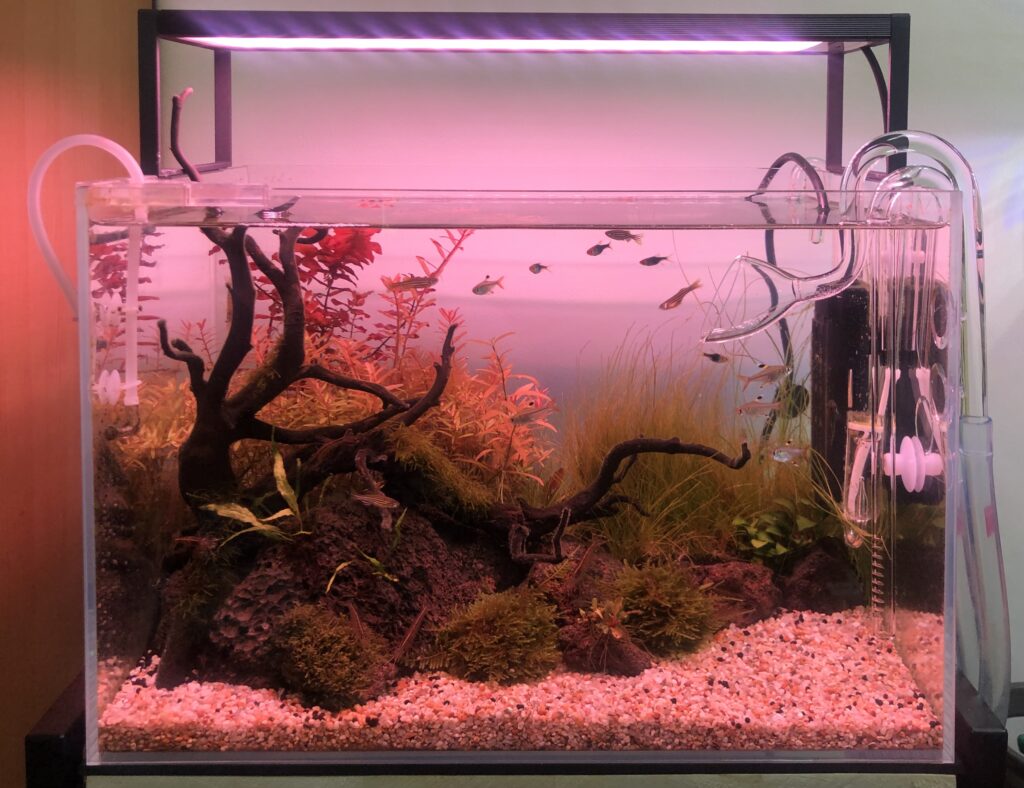 Chihiros wrgb II SLIM LED水槽ライト Chihiros Aquatic Studio WRGB2