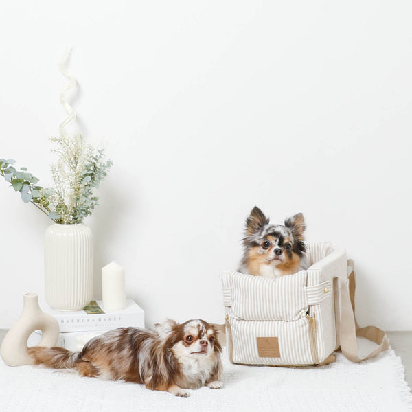 ドライブペットベッドコレクション – moncheri