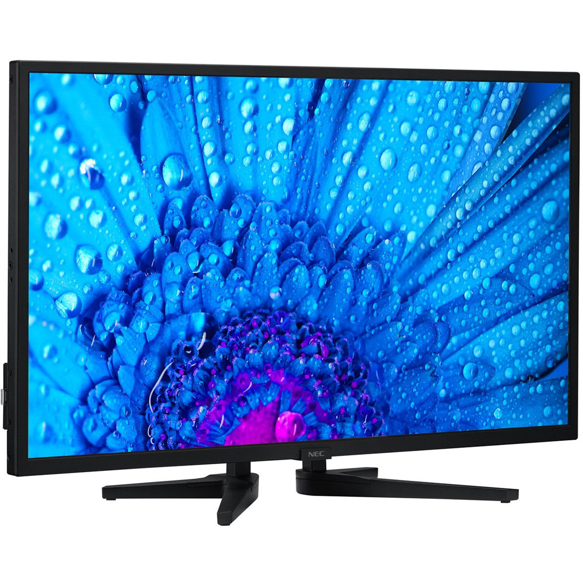 NEC MultiSync® M321 LCD 32