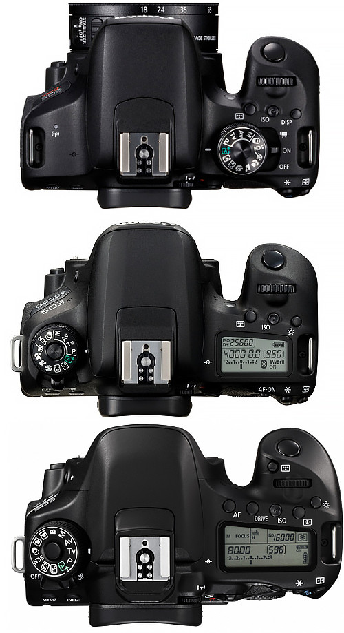 EOS 9000Dに親指AFボタンあるのか – mono-logue