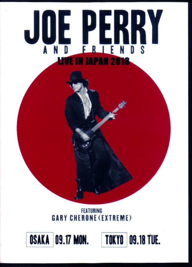 Aerosmith エアロスミス Joe Perry 2013 ギターピック Aerosmith