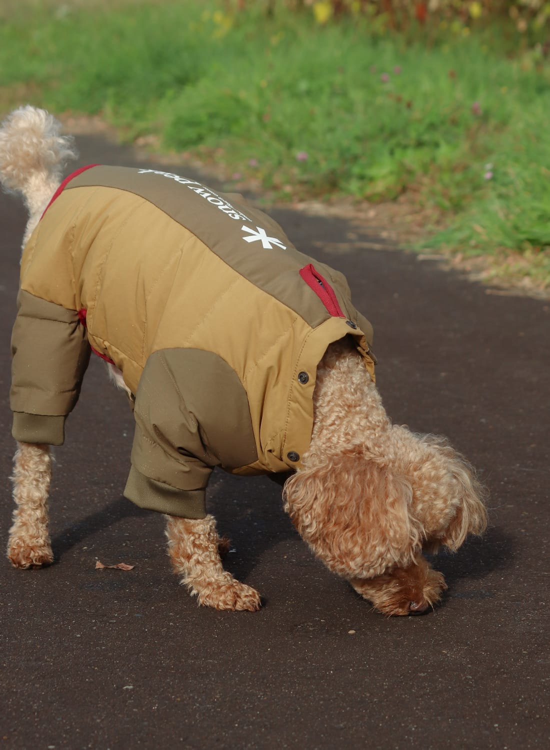 SP DOG DOWN JACKET|SP ドッグ ダウンジャケットSP ドッグ ダウン