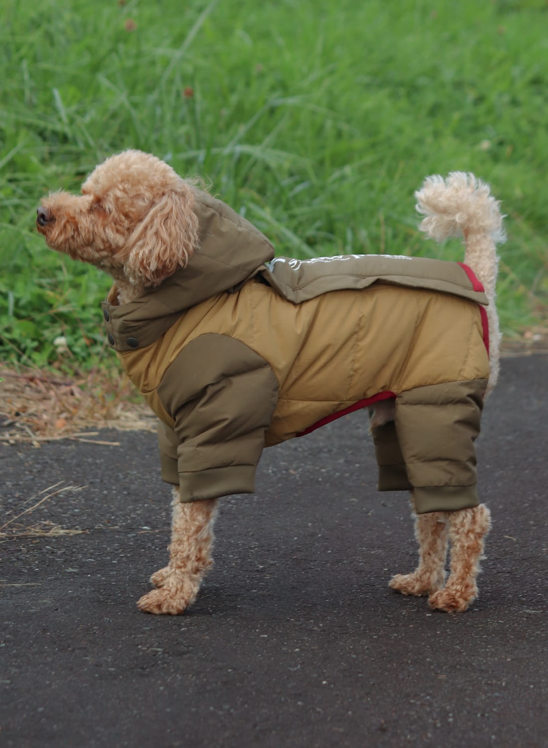 SP DOG DOWN JACKET|SP ドッグ ダウンジャケットSP ドッグ ダウン