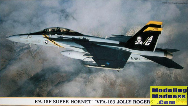 Hasegawa 1/72 F-18F Super Hornet 