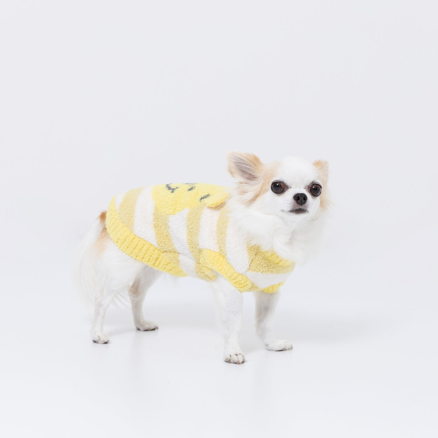 DS242-022-010_5_1400x.jpg?v=