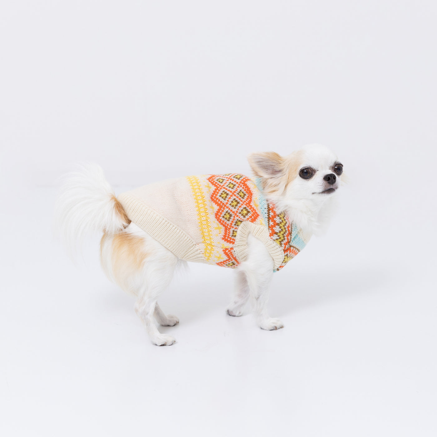 極美品】犬服pet a porte ペットアポルテニットドレス