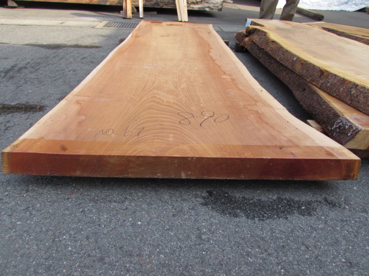 一枚板天板】 屋久杉（ヤクスギ）・楢（ナラ） 他 | 一枚板商品情報