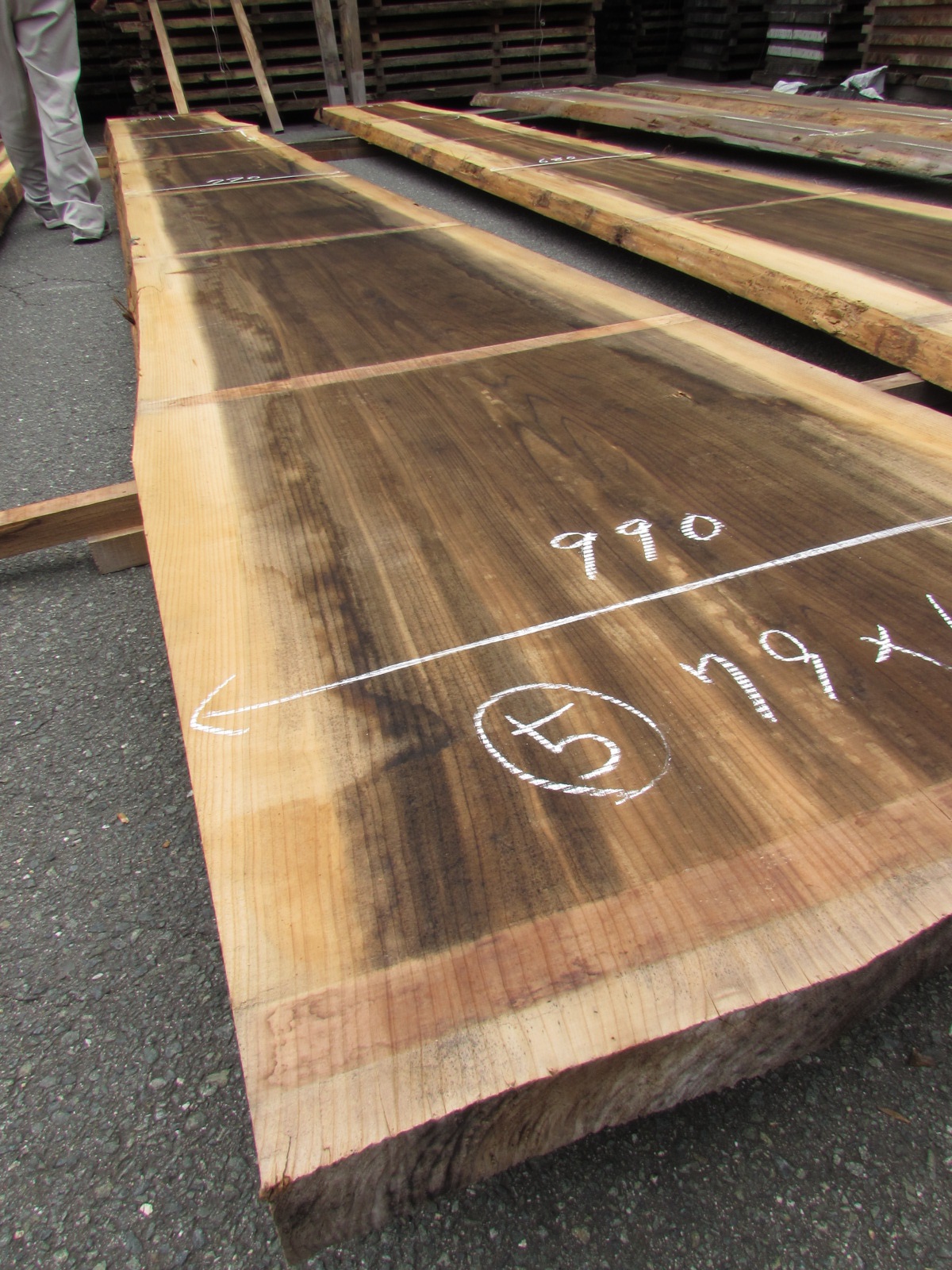 一枚板天板】“杉（スギ）”6.5mをカウンターにいかがですか？ | 一枚板