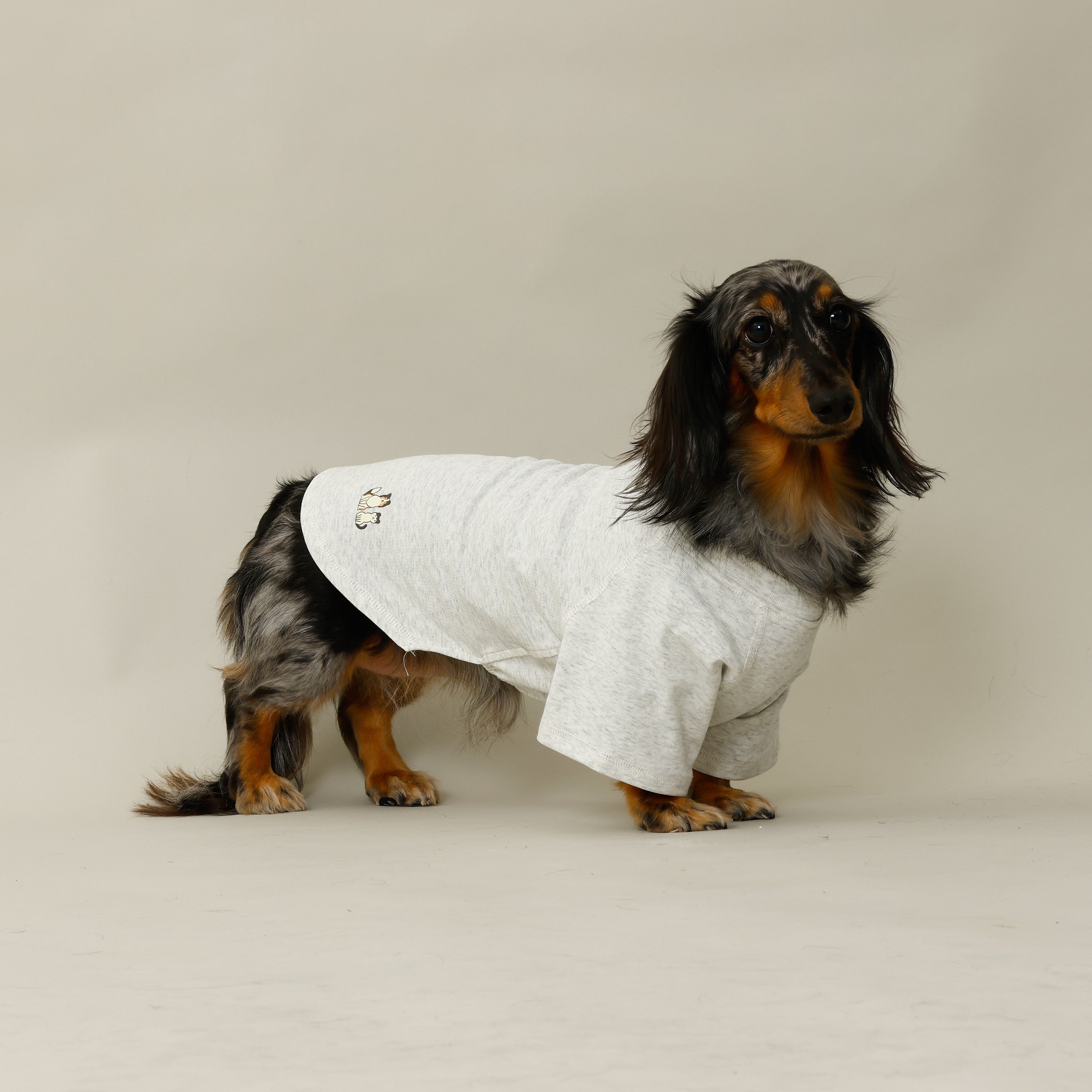 MOLUYUKのプレミアムスキンケア Tシャツ for pets – MOLUYUKA