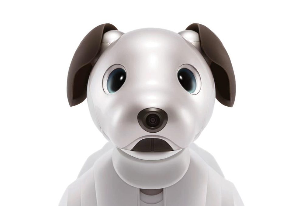 CEDEC2020】aiboの”賢さ”と”可愛さ”を作るAIの秘密 | モリカトロンAIラボ