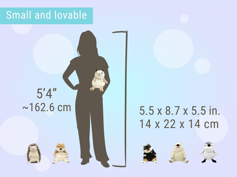 Morisaka Global | ZenPlus » Shop by size