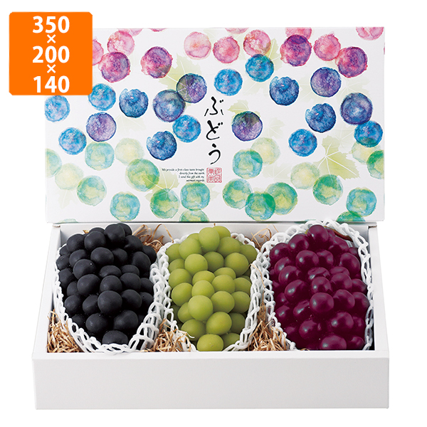 化粧箱】L-2369 彩りぶどう3房 350×200×140mm〈身箱深さ65-115mm〉(40